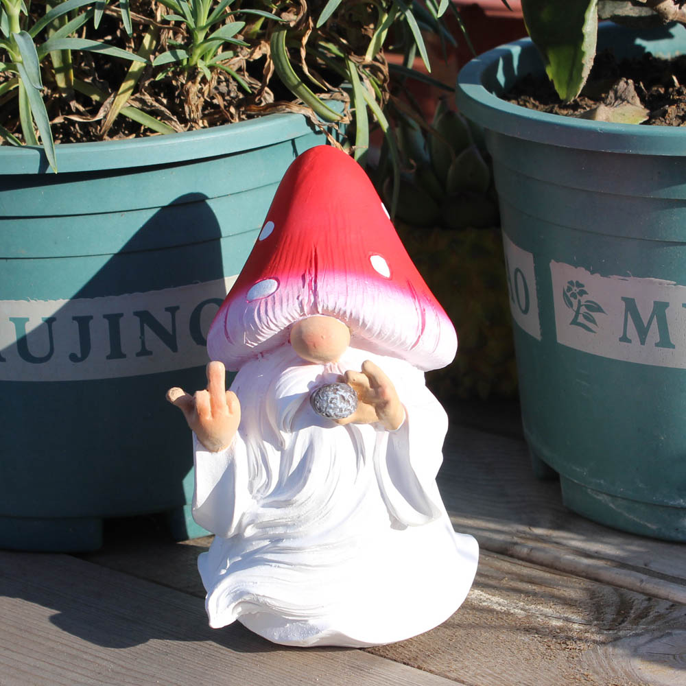 Mushroom Smoking Gnomes Funny  - Home Bargains recension och pris